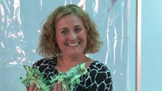 FACIAL- Hakeem (unofficial money grab video)