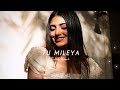Tu Mileya Darshan Raval Slowed Reverb MidnightChill