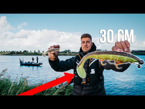 Do big baits catch big pike?