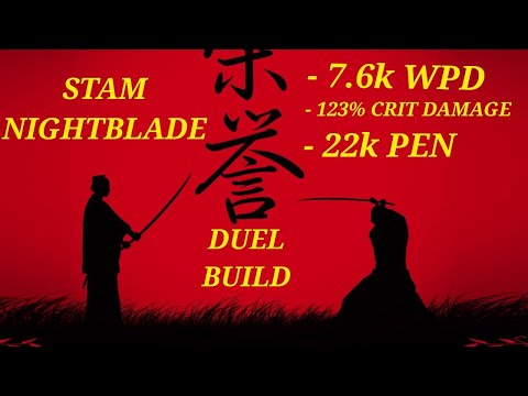 🔥 ESO PvP HARDEST HITTING STAMINA NIGHTBLADE BUILD "ICE CANON" [Ascending tide] 🔥