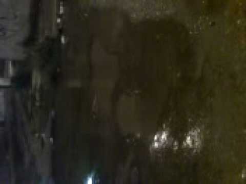 01-01-09 - Fossa Transbordando