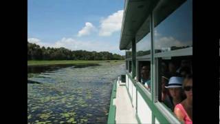 preview picture of video 'Myakka Airboat tour.'