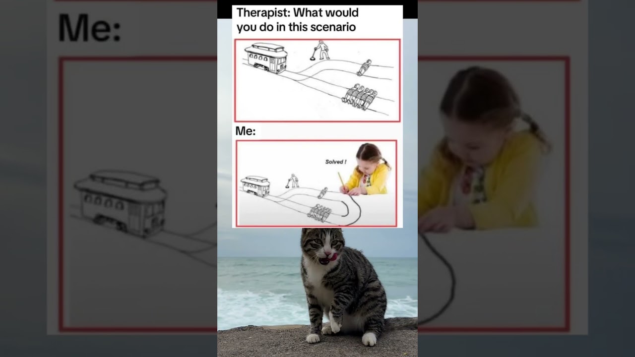 Problem solved 😂 #memes #funny #cat