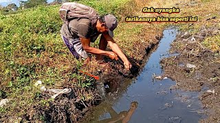 Download lagu I never thought a spot like this would be a nest for a giant eel this big. mp3