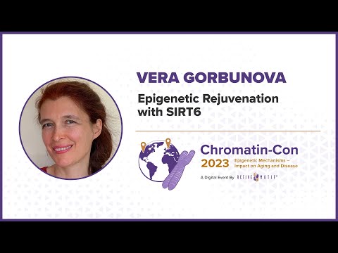 Chromatin-Con 2023 - Session 3 Interventions for Healthy Aging and Longevity - Dr. Vera Gorbunova