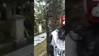 Download lagu game over #funny #ngakak #lucu #funnyvideo #comedy #memes #duet #humor mp3