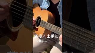花咲く土手に #玉置浩二 #ギター #弾き語り #song