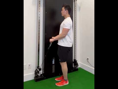 فيديو Reverse Curl كيبل