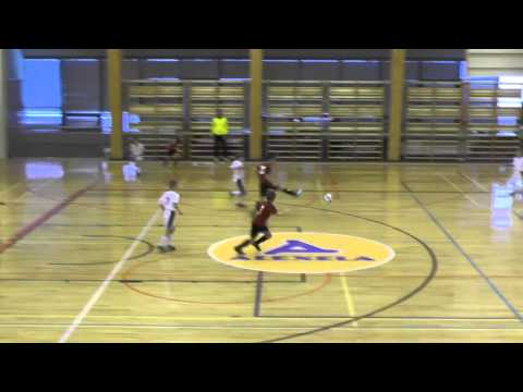 Raplamaa JK Saalikarikad 17.01.2016 4mang