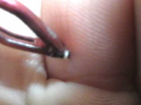 Descargar picadura de abeja.wmv gratis mp3 movil