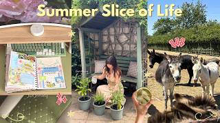 Summer Slice of Life ☀️┃hobby time, garden refresh & visiting a donkey sanctuary