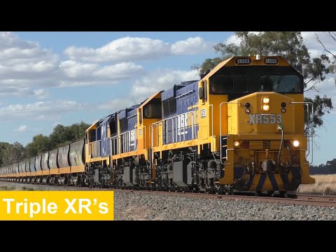 Triple XR's on the Tocumwal Grain Train! 9360 with XR553, XR554 & XR555