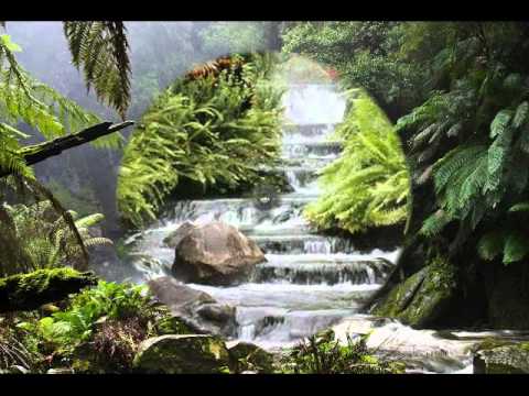 Ahmad sulaiman Nigeria