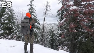 A Mountain Timber Buck in the Snow! (Late Season Rifle Hunt)