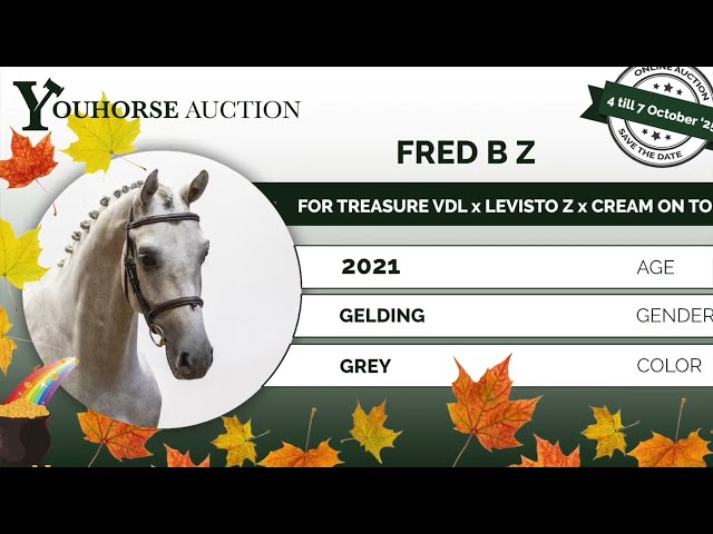 Fred B Z trainingsvideo