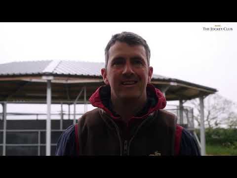 Don Poli:  Rolling back the years