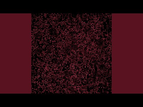 i thought i wanted this