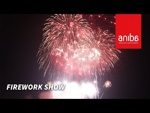 Aniba vuurwerk promo