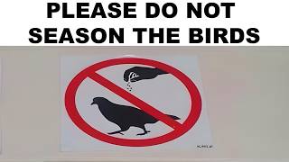 memes that break the rules