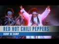 Red Hot Chili Peppers Dani California Official Music Video