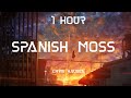 Spanish Moss - Chris Haugen | 1 Hour [4K]