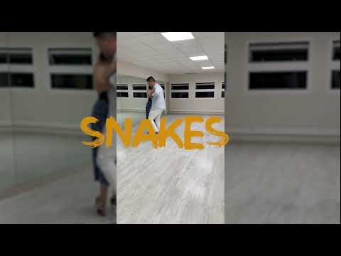 Demo Jeremy & Savannah Zeus DJ Snakes DJ PUTO X