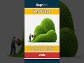 landscape - to decorate outdoor land with... video thumbnail