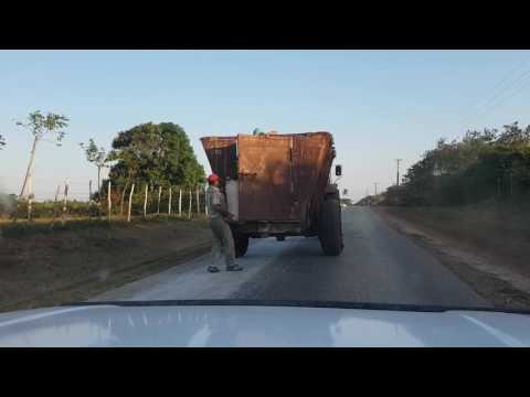 Camaguey, Cuba. Secando arroz en carretera de La Gloria a Playa Piloto.