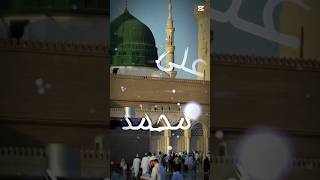 Download lagu Assalamu Alayka Ya Rasool Allah (s.a.w.w) | Mohamed Tarek & Mohamed Youssef #ytshorts #quran #naat mp3