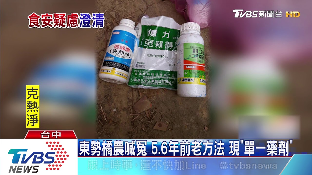 網傳柑橘直接泡藥　東勢橘農：現在都機器噴藥