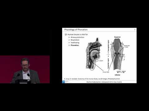 Interspeech 2019 -- Keynote -- Manfred Kaltenbacher: Physiology and physics of voice production