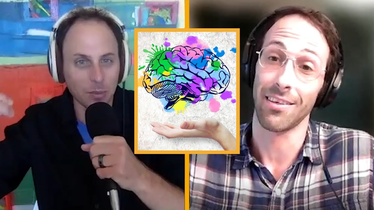 PSYCHADELICS AND THE MIND with  Dr  David Rabin