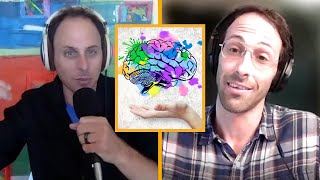 PSYCHADELICS AND THE MIND with  Dr  David Rabin