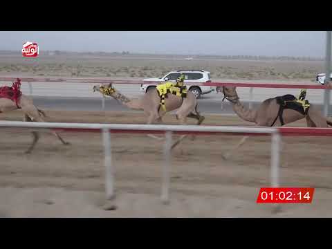  ش 7 (الشاهينيه) لـ عتيق بن محمد المهيري 2:57 ، شارة الصندوق 2026/08/01 فطامين سويحان
