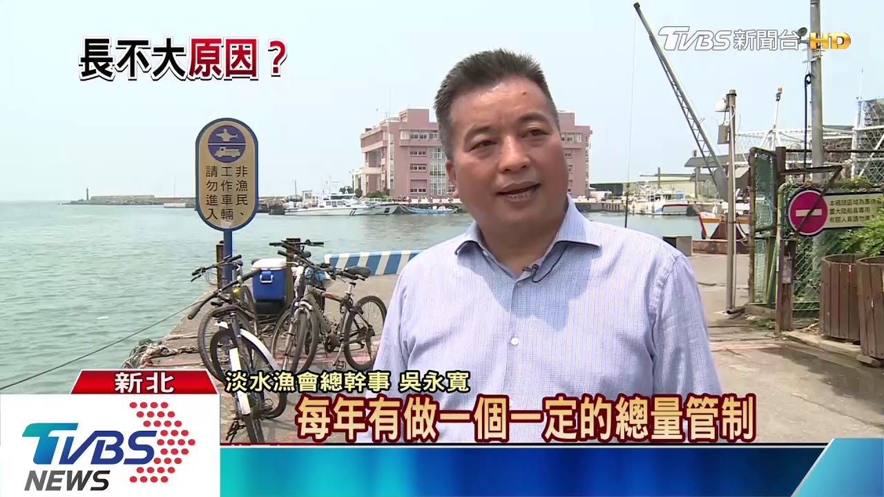 吃小魚苗恐傷害海洋生態? 魩仔魚大解密
