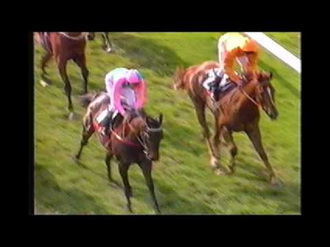 1991 - 92 Australasian Racing Year _ The Classics