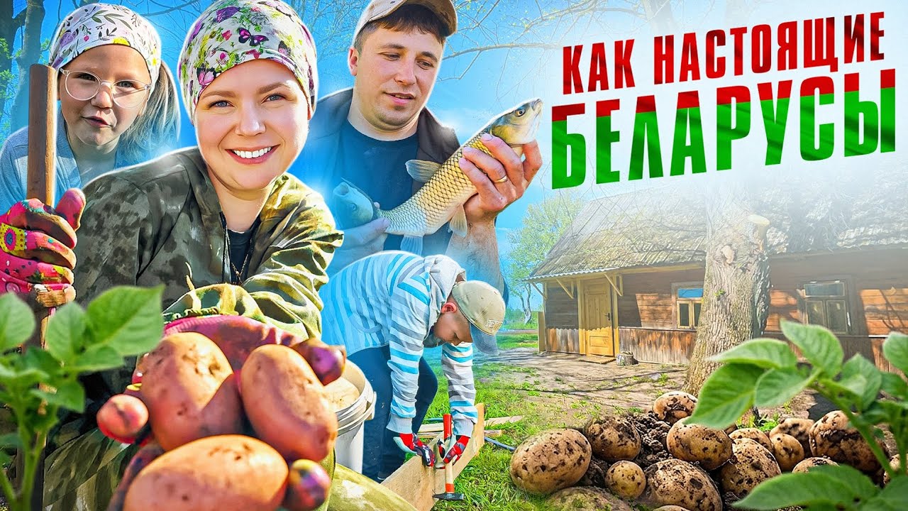 ДЕРЕВЕНСКАЯ ЖИЗНЬ! Как ПРАВИЛЬНО сажать КАРТОШКУ? Плюс ДИКАЯ РЫБАЛКА на три ?