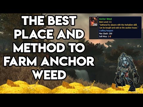 World Of Warcraft The Best Way And Method To Farm Anchor Weed