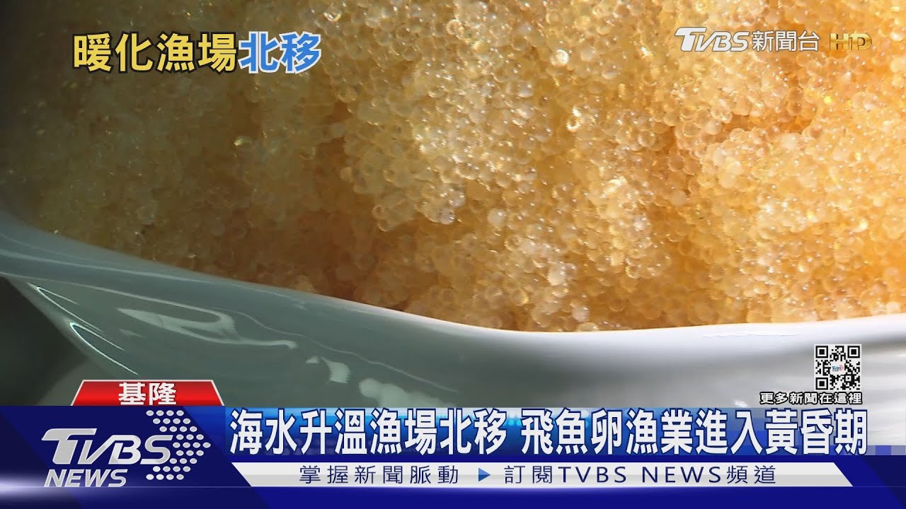 吃飛魚卵會讓飛魚越來越少嗎? 飛魚卵漁業進入黃昏期