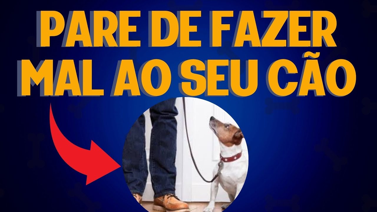 5 Coisas que Você Faz e que Deixam o Seu Cão Triste