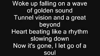 Rise Against: Sudden Life (Lyrics)