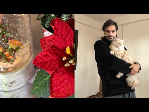 Margaret,Mittens & Tango is live with Muneeb the Explorer💕11/12/2025