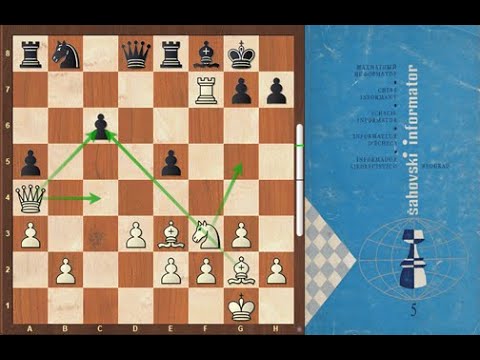 The Best of Chess Informant 5 / Mikhail Botvinnik vs Lajos Portisch, Monaco 1968