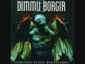 Dimmu Borgir - The Insight And The Catharsis ...