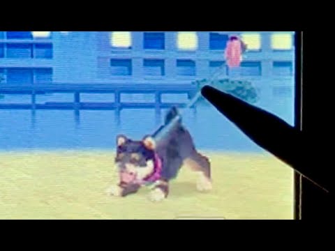 チワワと僕。　2日目　【nintendogs ニンテンドッグス　実況】