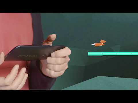 Fast like a Fox Video