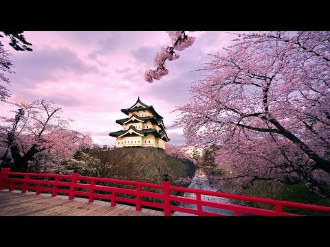 Musique Japonaise Traditionnelle : Apaisant, Calme, Relaxant
