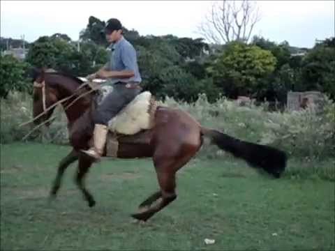 spin carlos leonardo!