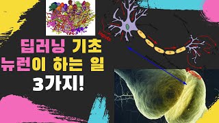 [수힉없는 인공지능 강의 #3] 딥러닝 기초 1.뉴런의 3가지  연산 | KAIST AI STUDIO
