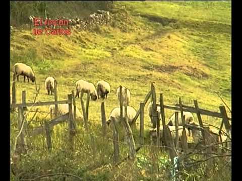 El rincón de Carlos: Orozko ya te conozco